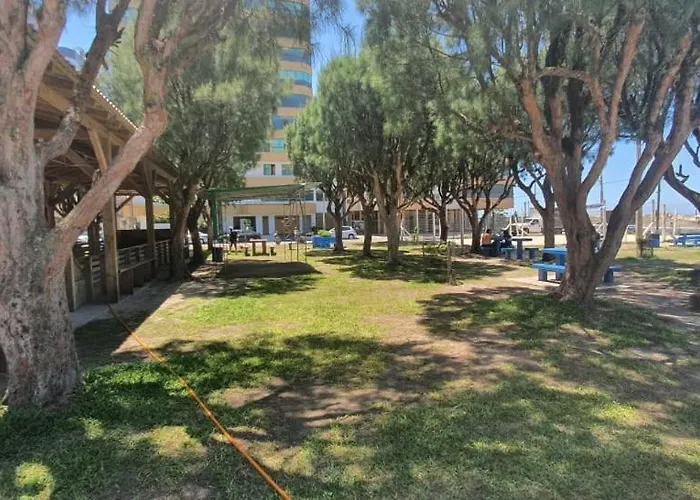 Apartamento Acolhedor Com Churrasqueira